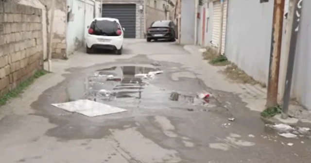 media-azwujhugaallr6g4zxwmhy0jdy3xvuwtywrwdzn3_1200