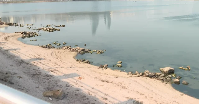 media-hej1ffneqbzl7qmz2yiztq5ud5u7hkg8chqnpcea_1200