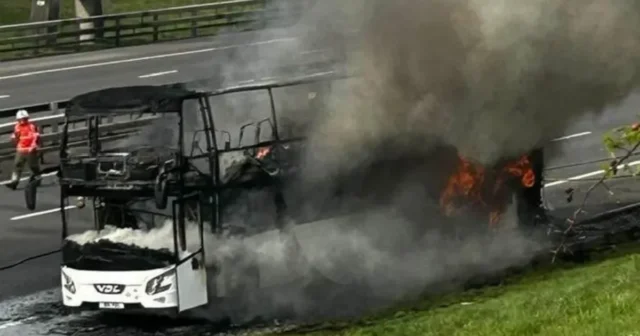 media-kfdkarhnzfrm4jmgiq9w60qryx6xrz4nx8s596vn_1200