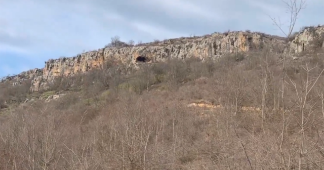 media-screenshot_2026-03-16_184528