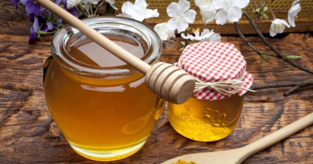 media-blog_05-1024x675-1