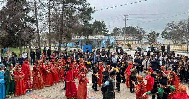 media-caf55d71-93a3-4fdb-97d2-3bf768129214