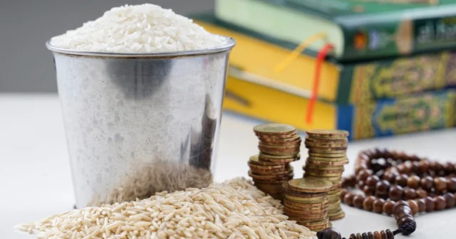 media-fd4aikdpdjd8hydwawf33qjwvjemamvzm4omtlod