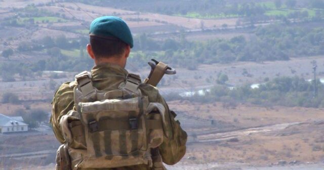 media-herbi-2-1024x576