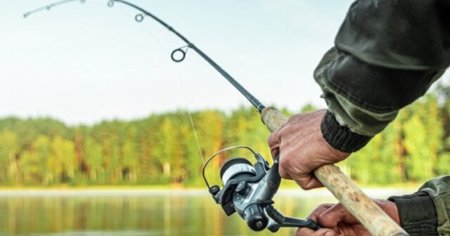 media-image_750x_642ac4fd85ff3