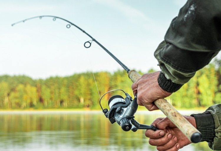 media-image_750x_642ac4fd85ff3