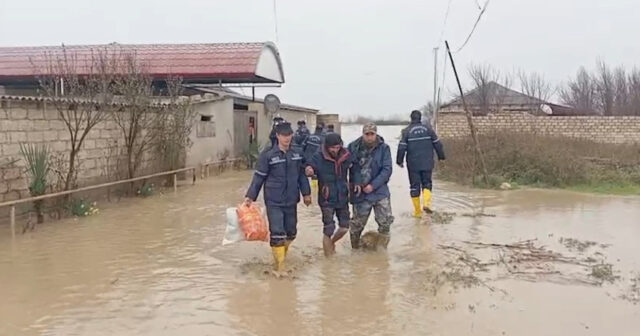 media-img-20260328-wa0028