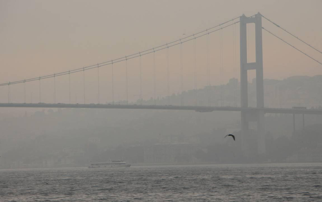 media-istanbul