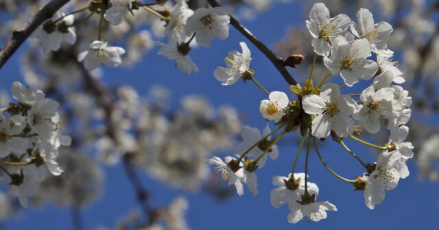 media-nocomment_2731c2c6108ee784ed117462cadbce46_b6xl7493ao8tgeysqfwj