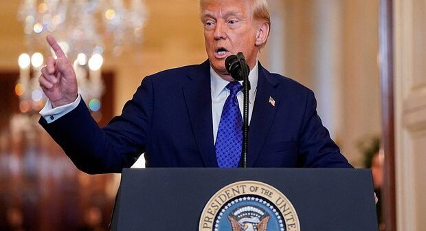 media-owl_detail_620_5e52a583e024cbfc39970219ed24b8aa