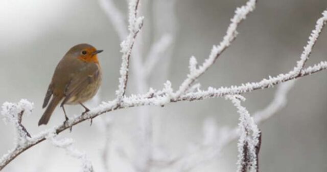 media-photo_355535-1