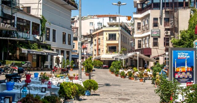 media-photo_5283030226621371943_w