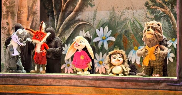 media-photo_5285453219536508780_w