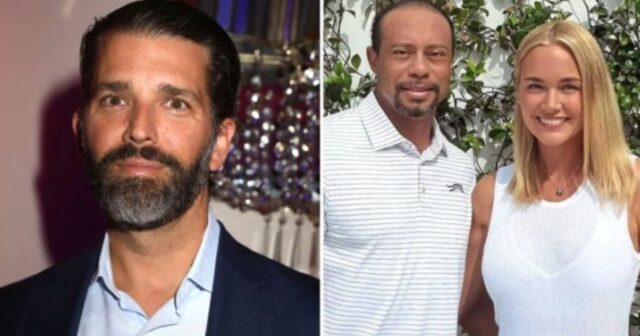 media-photo_5357274165171393957_y