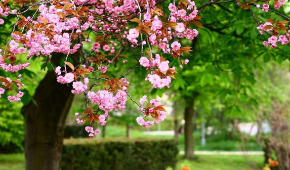 media-realpress_1647833420