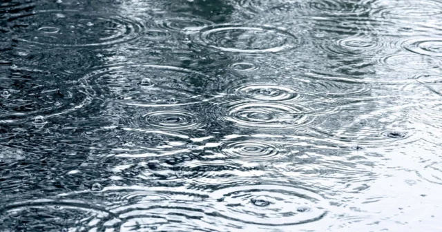 media-xvopxl7tsbfceab6v0yoowh9p6jrmwfwbwh4alkb_1200