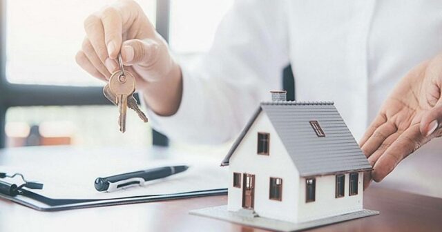 media-01kn9g5cexk2ptdny7x8fgbz98-large