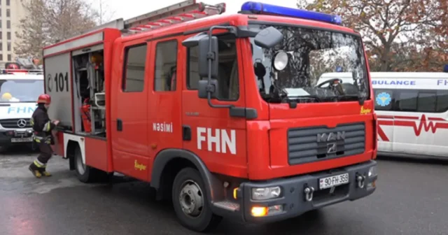 media-01kp8eke6n2bpznmh8wkc8gzsg-large