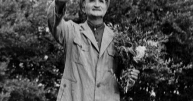 media-15875415622724019227_1000x669