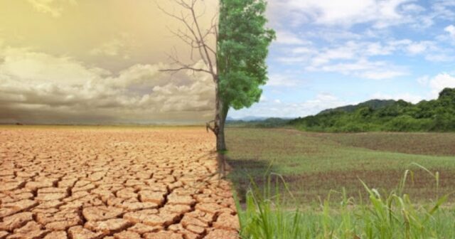 media-15923852632754850184_1200x630