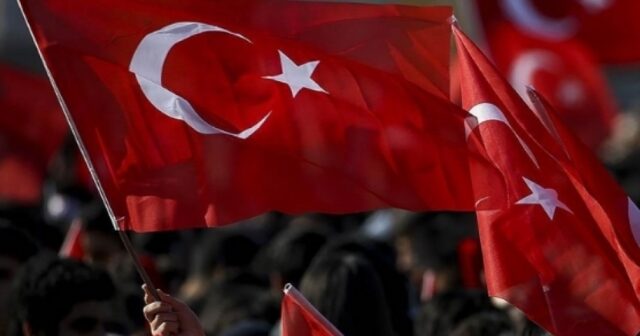 media-169858739388546686_1200x630