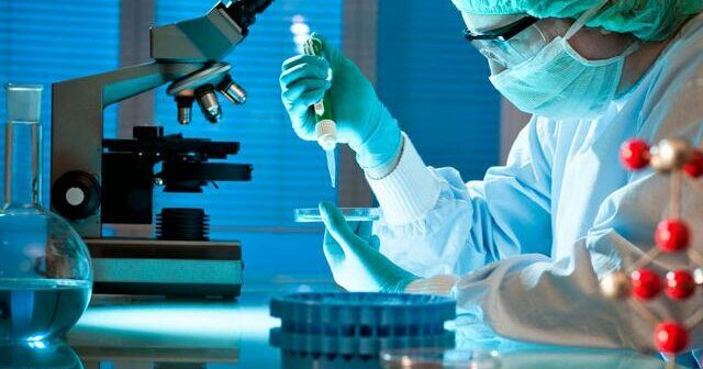 media-1699769678_xerceng