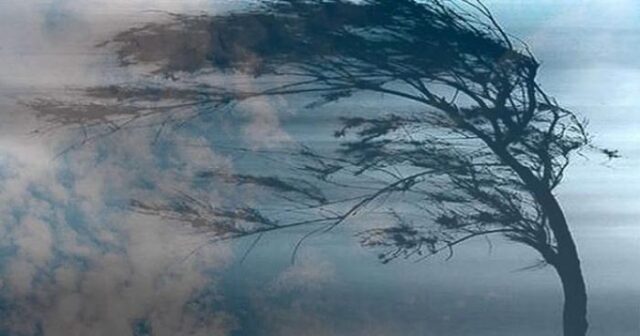 media-1704440455_guclukulek2