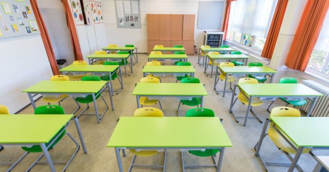 media-1759756704-fb222d308c82c4e26c52c9e4eabb2061