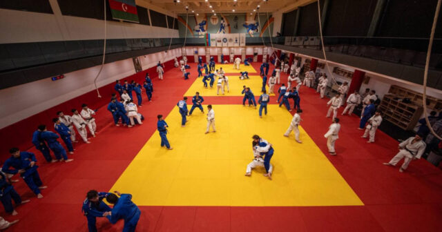 media-17752817033810620710_1200x630