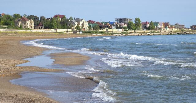 media-1775300205_5371027578166126415