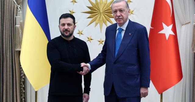 media-1775317806_erdogan-zelenskiy-2333743__1_