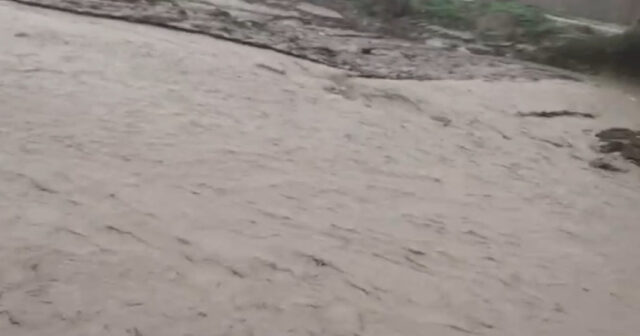 media-17754030441772434971_1200x630