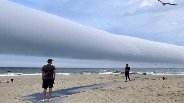 media-1775415531_53-pic_32ratio_600x400-600x400-81593