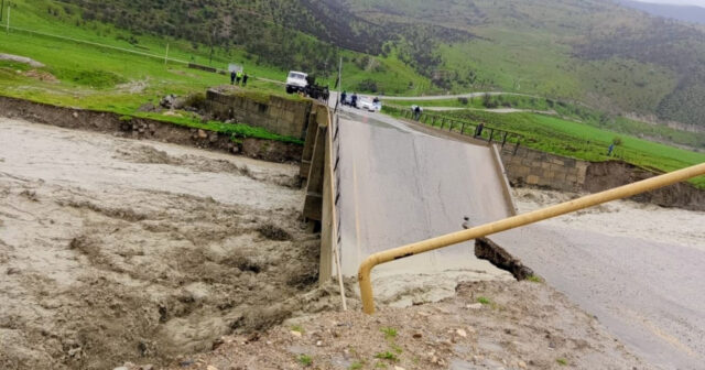 media-17754563162224850626_1200x630