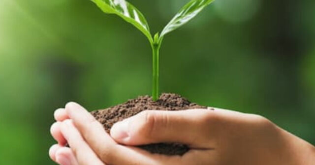 media-17754769006060530824_1200x630