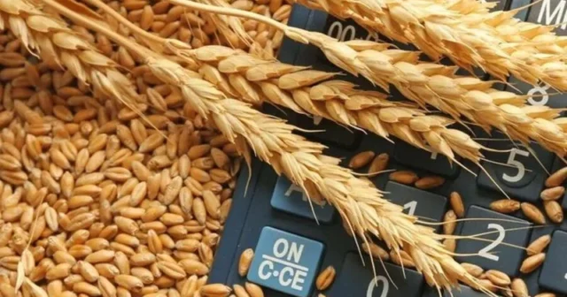 media-1775545192_azerbaycan-bugda-idxalini-37-artirib-1773754934