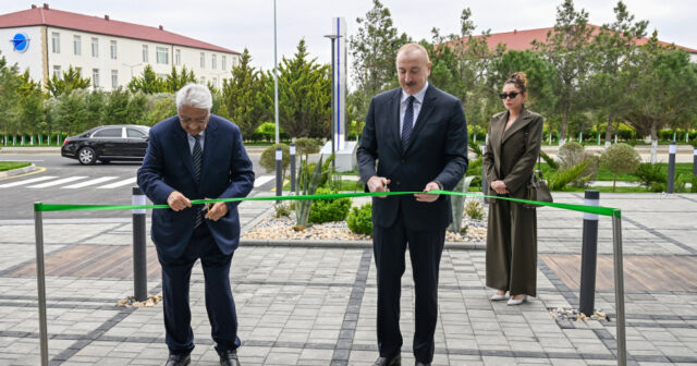 media-17756549883531232414_1200x630