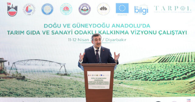 media-17759265535403528338_1200x630