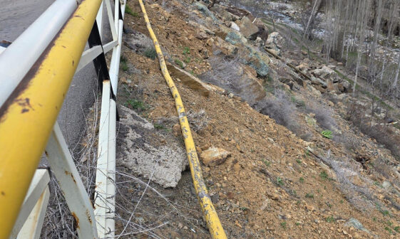 media-17763425405933863011_1200x630