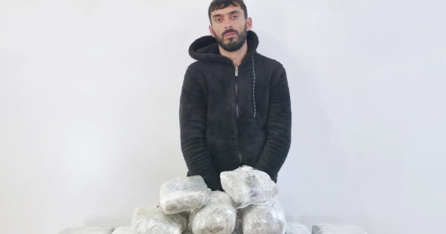 media-17765230872336318335_1200x630