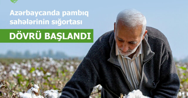 media-17766803376548514630_1200x630