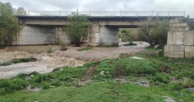 media-17766927215671642166_1200x630