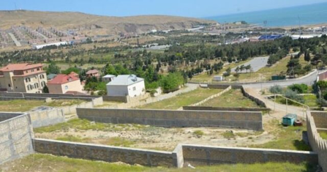 media-1776800029_resize