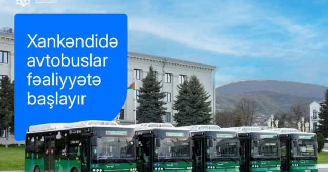 media-17770537982591457848_1200x630