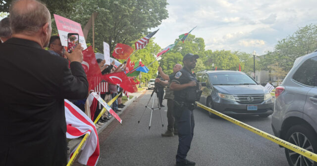 media-17770687982321565050_1200x630