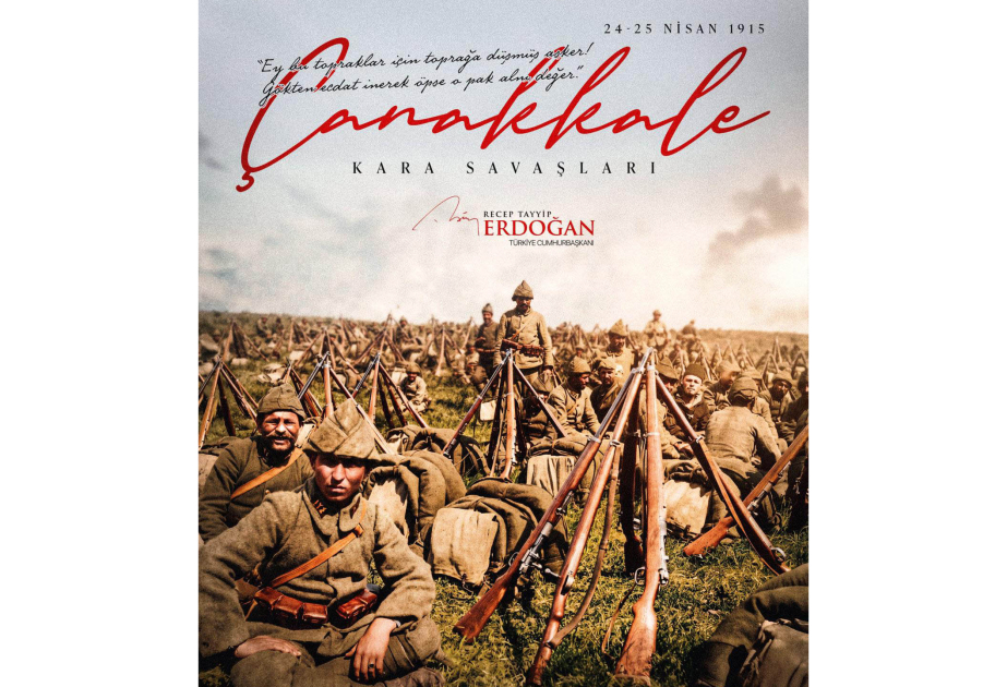 media-17771432895438142777_1200x630