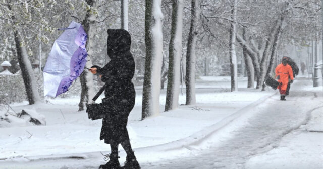 media-17772821773097639608_1200x630