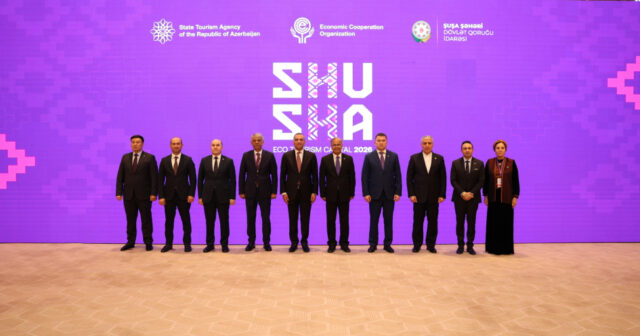 media-17774543432129133416_1200x630