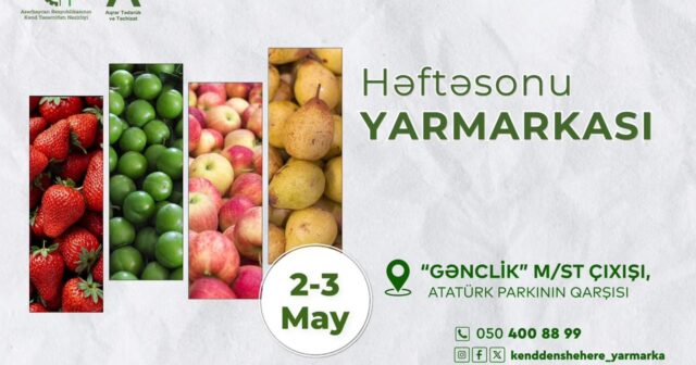 media-1777465907-sayt