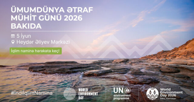 media-17775333504806434176_1200x630